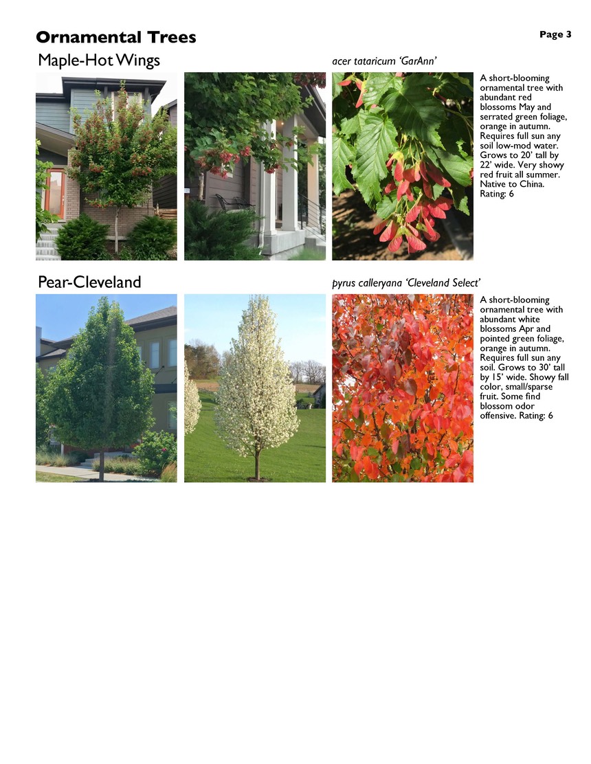 landscape-2-ornamental-trees Page 3