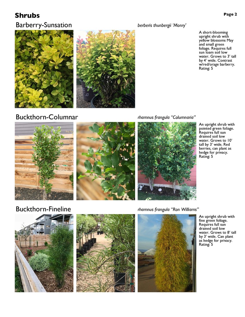 landscape-4-shrubs Page 2