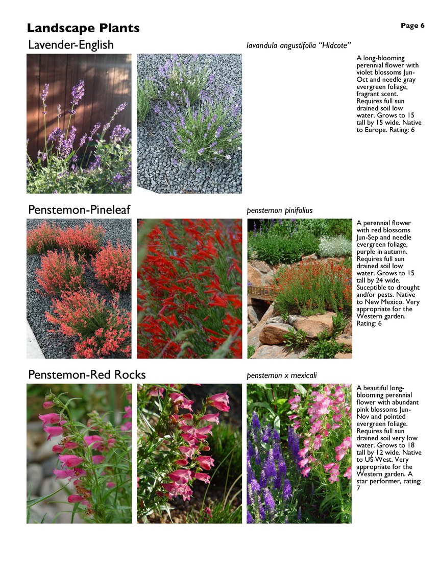 landscape-5-perennials Page 6