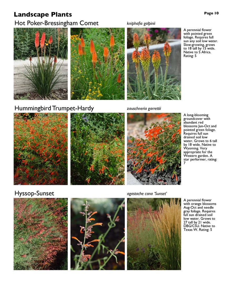 landscape-7-bonus plants Page 10