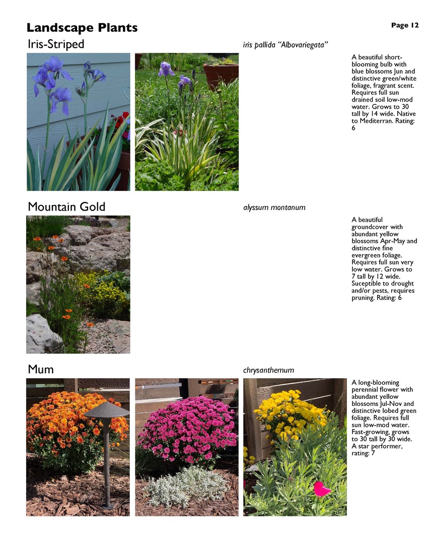 landscape-7-bonus plants Page 12