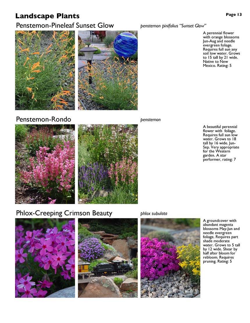 landscape-7-bonus plants Page 13