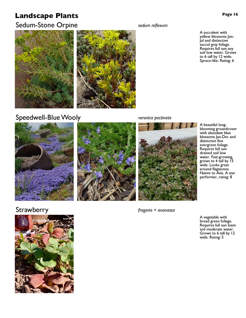 landscape-7-bonus plants Page 16