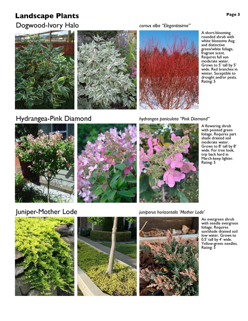 landscape-7-bonus plants Page 03