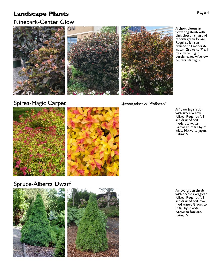 landscape-7-bonus plants Page 04