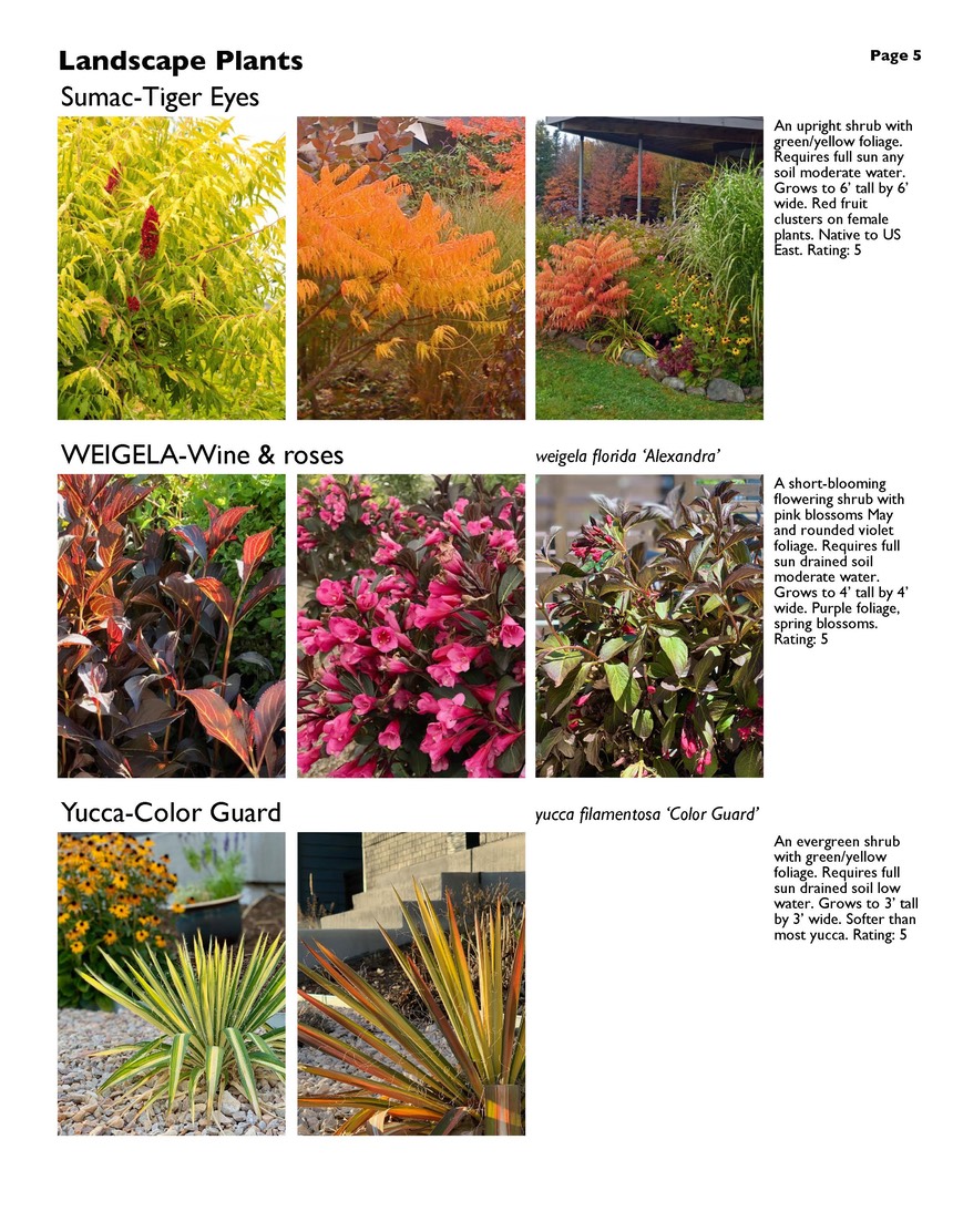 landscape-7-bonus plants Page 05