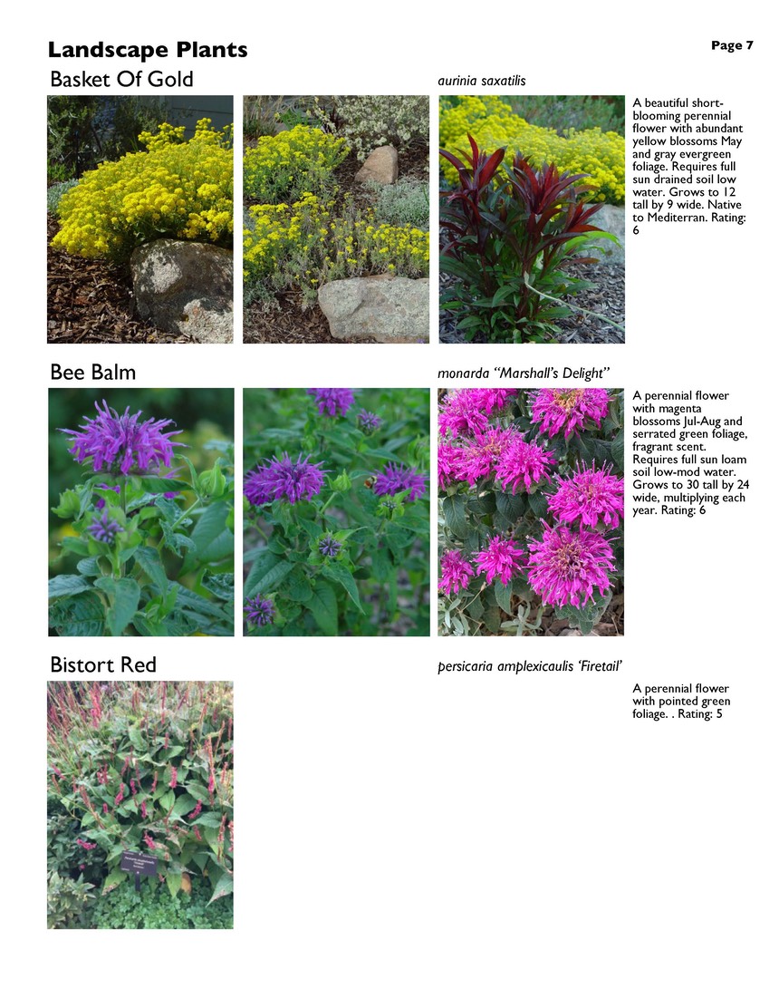landscape-7-bonus plants Page 07