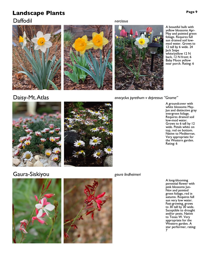 landscape-7-bonus plants Page 09